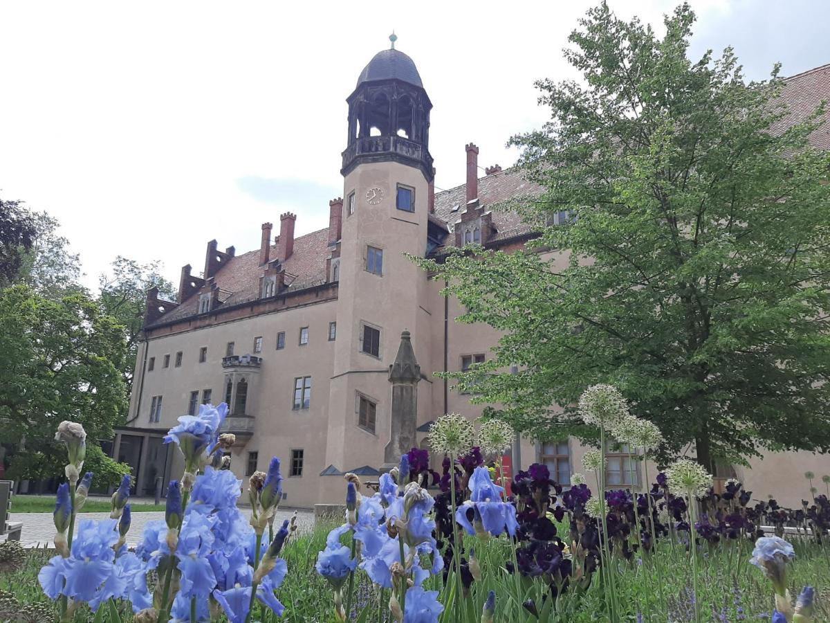 Fewo Rosenbluete Am Stadtpark Wittenberg Exterior photo